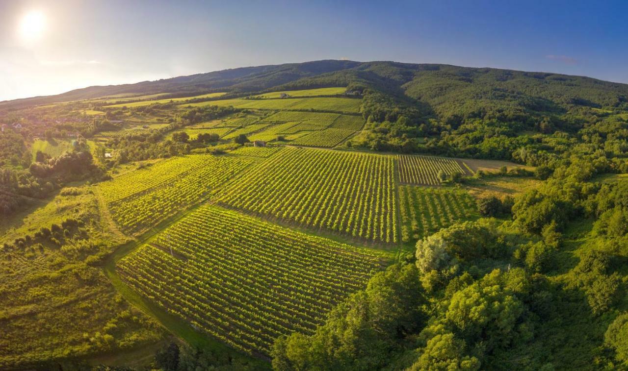 Robinson Vila Kitokret Kutjevo Екстер'єр фото