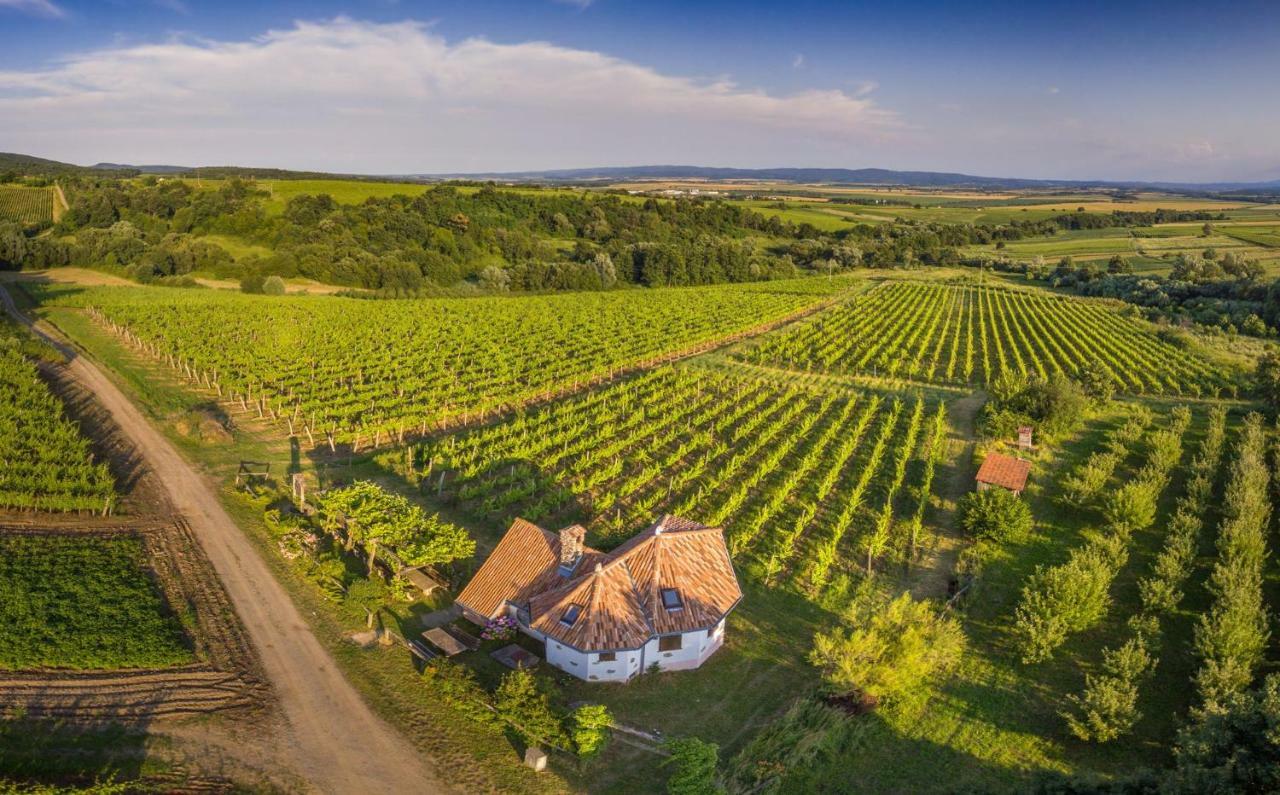 Robinson Vila Kitokret Kutjevo Екстер'єр фото