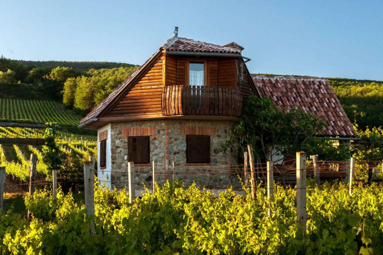Robinson Vila Kitokret Kutjevo Екстер'єр фото